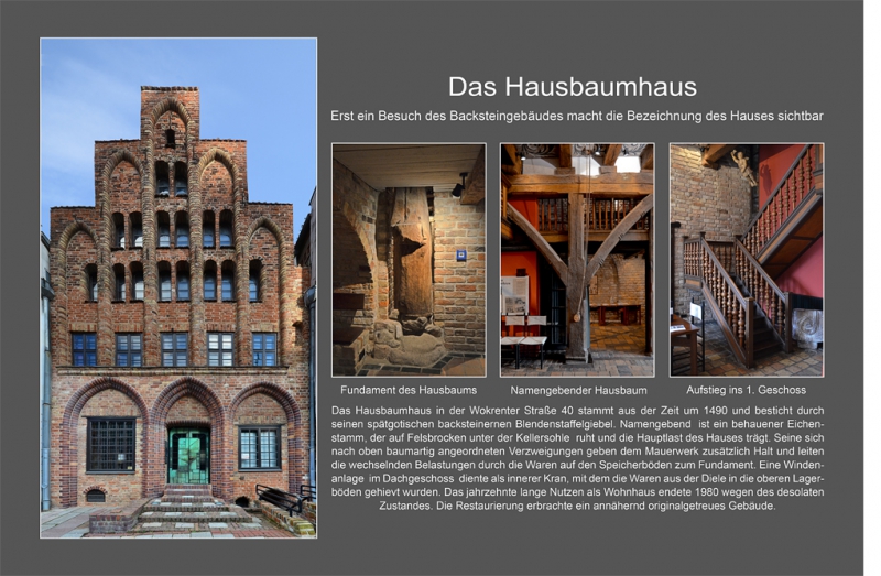 Klaus-D. Purps - Hausbaumhaus