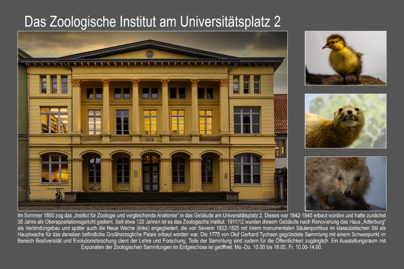Christoph Lanz - Zoologisches Institut